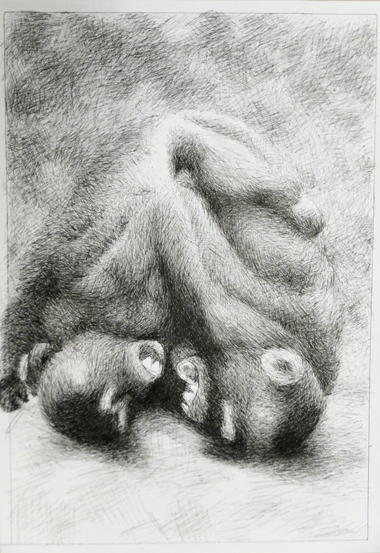 Zeichnung, Zwei Affen, schreiend, Kampf, Umarmung